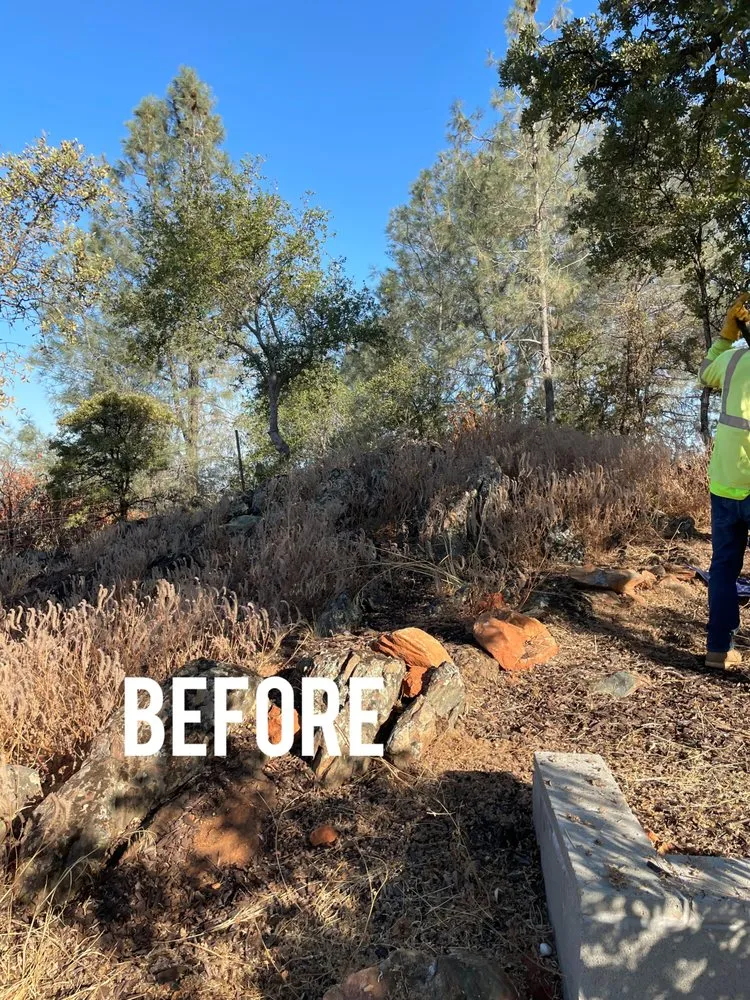 Top-rated yard cleanup service for year-round maintenance in Auburn, CA by AG Landscape