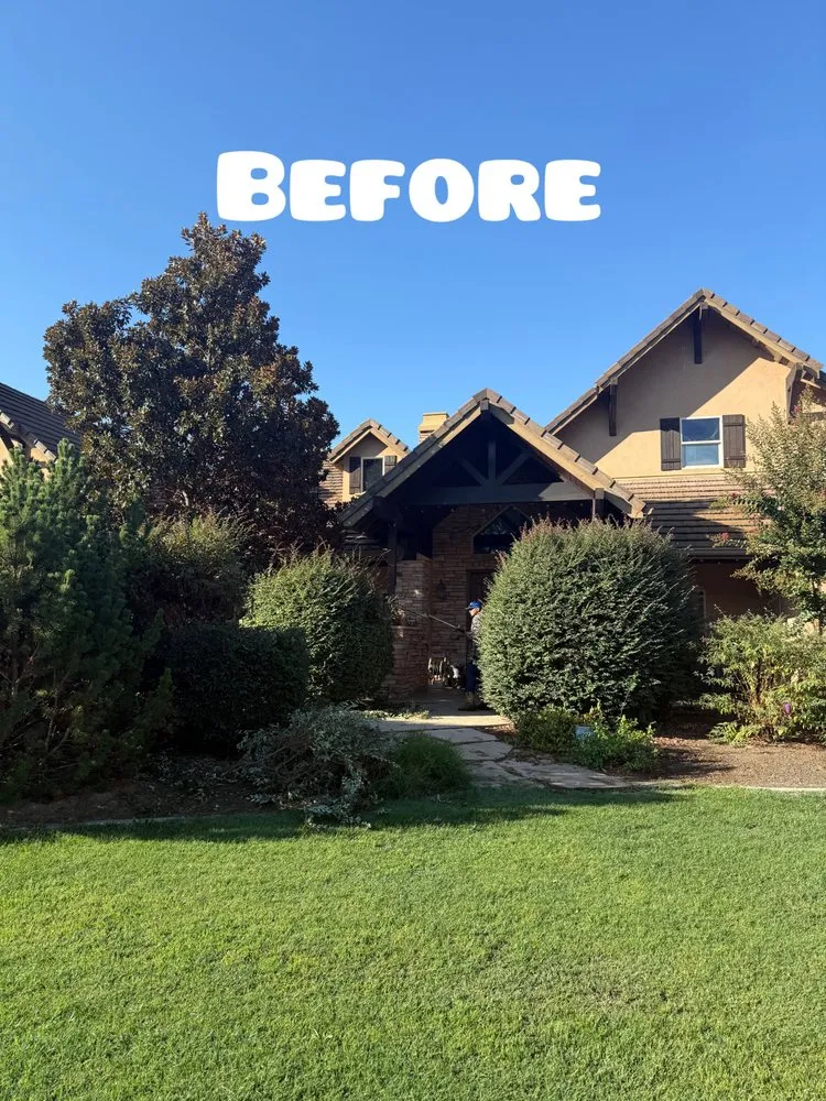 Expert lawn mowing service experts serving Auburn, CA - AG Landscape