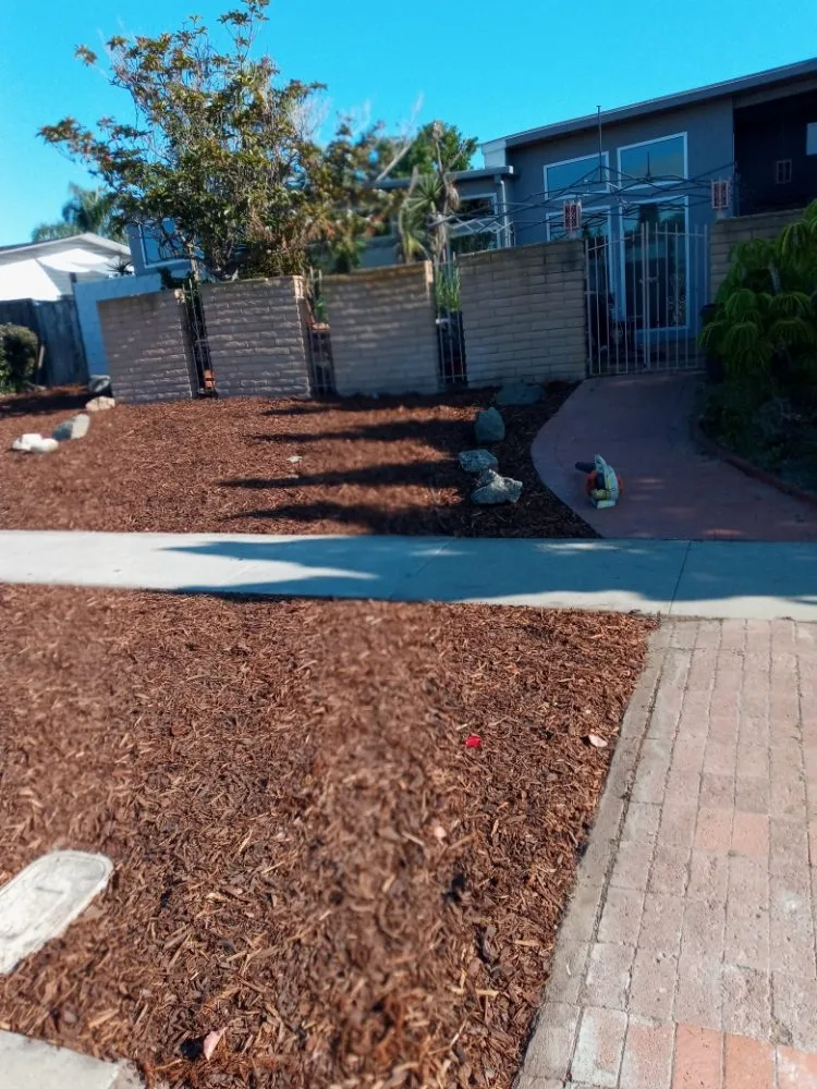 Trusted lawn care service in Chula Vista, CA by A.G landscape