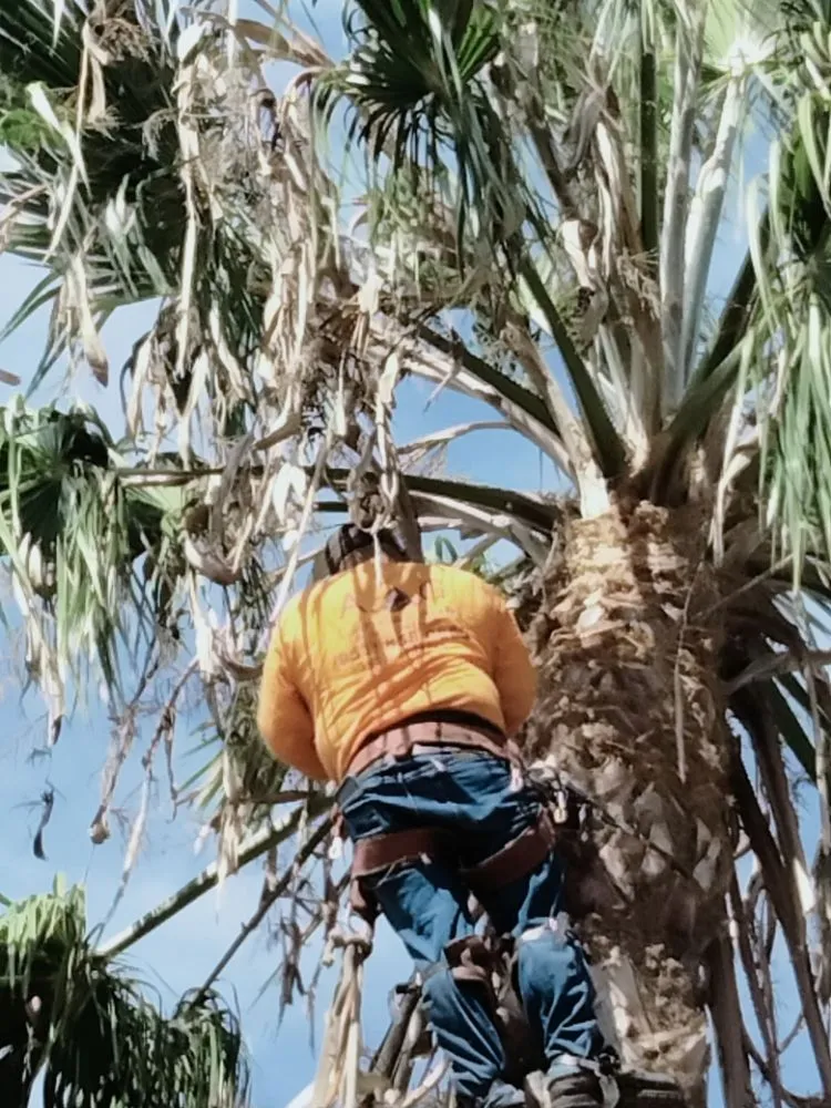 Top-rated outdoor landscaping experts serving Chula Vista, CA - A.G landscape