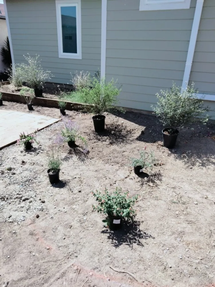 Affordable yard cleanup service in Chula Vista, CA - A.G landscape