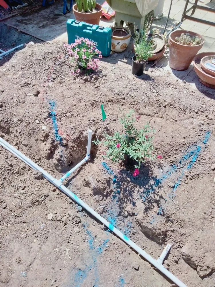 Reliable lawn mowing service for year-round maintenance in Chula Vista, CA by A.G landscape