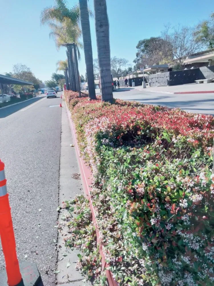 Expert landscape installation experts serving Chula Vista, CA - A.G landscape