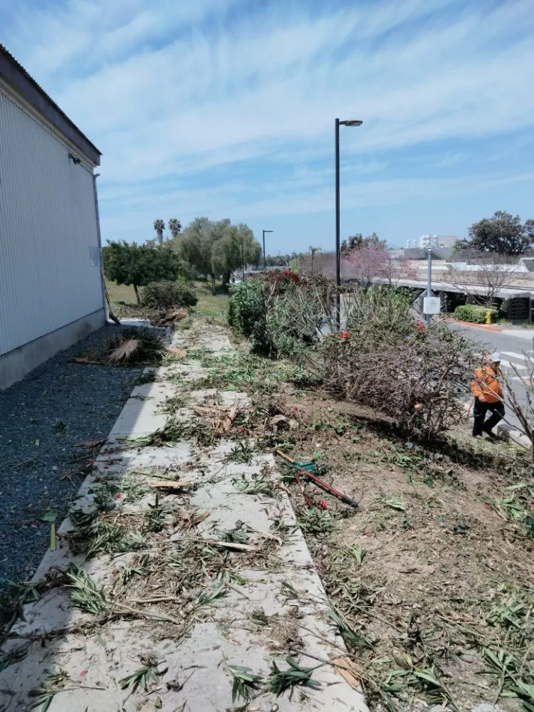 Expert garden landscaping in Chula Vista, CA - A.G landscape