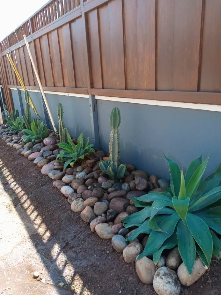 Expert outdoor landscaping in Chula Vista, CA by A.G landscape