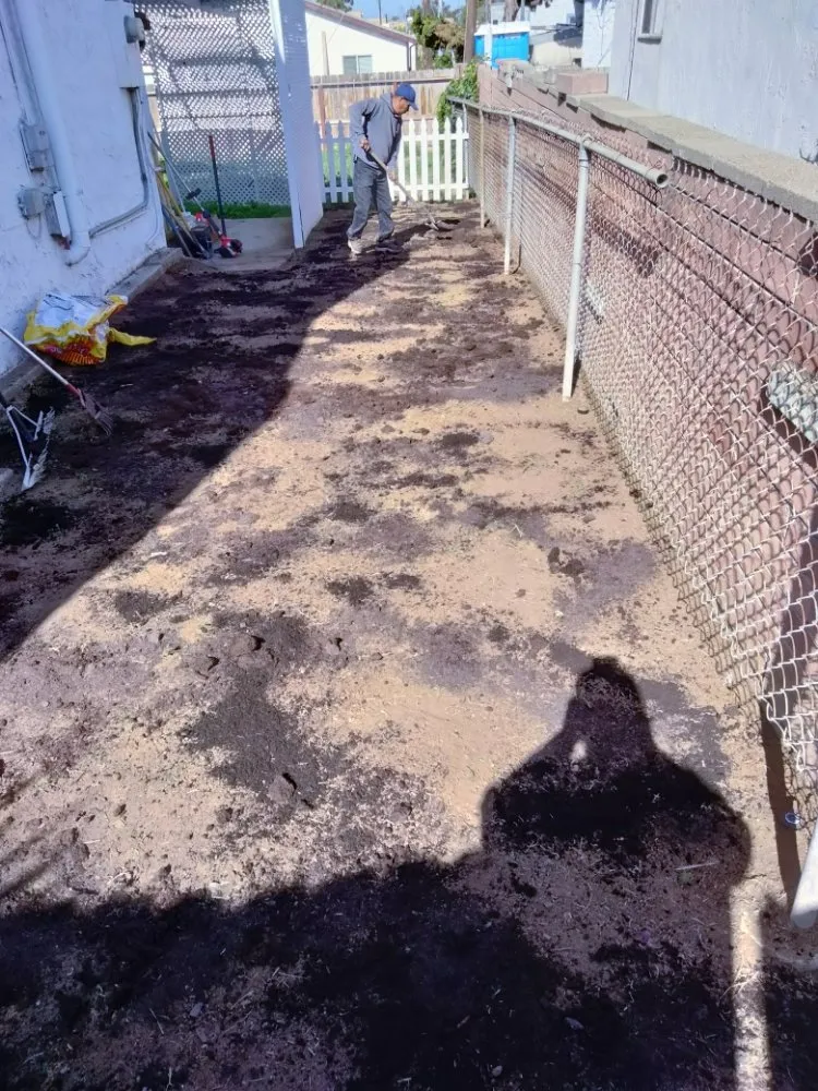 Reliable yard cleanup service for homes in Chula Vista, CA by A.G landscape