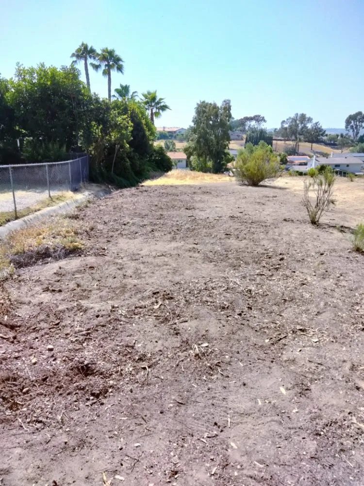 Trusted lawn care service in Chula Vista, CA - A.G landscape