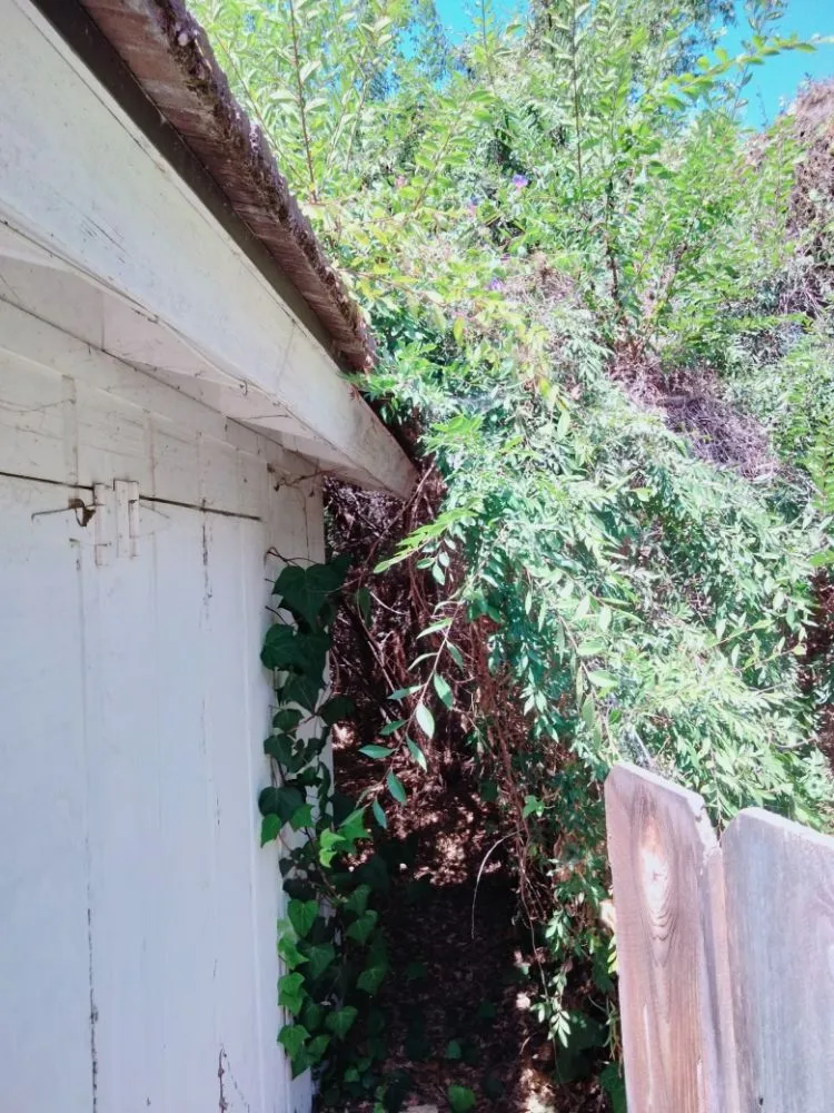 Expert landscaping services in Chula Vista, CA by A.G landscape