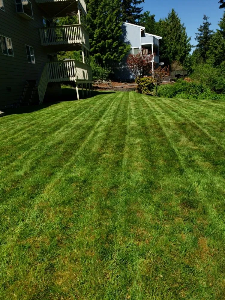 Expert garden landscaping for outdoor upgrades across Poulsbo, WA - AG Landscape