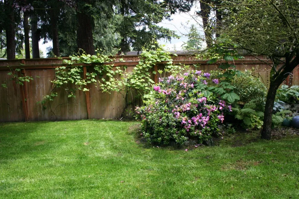 Reliable outdoor landscaping in Poulsbo, WA - AG Landscape