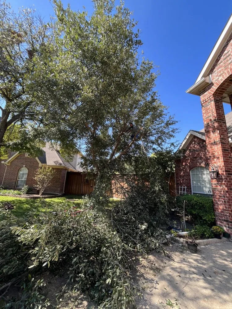 Expert landscaping services experts serving Princeton, TX - AG Landscape