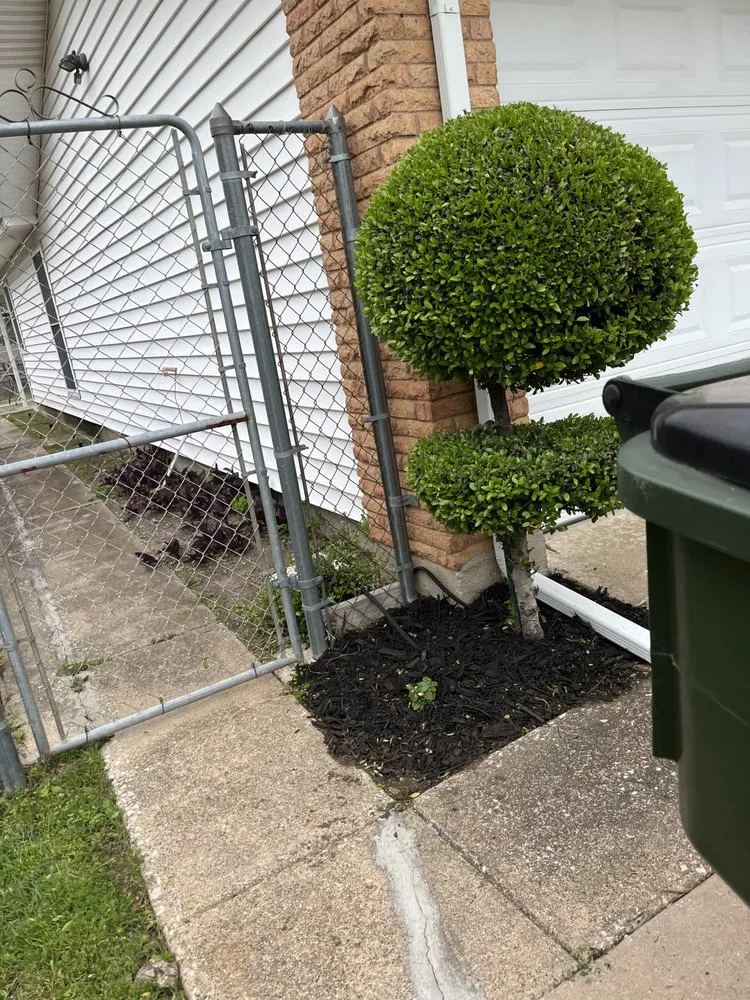 Trusted landscaping services near you in Princeton, TX by AG Landscape