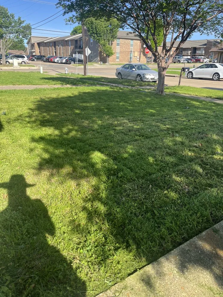 Reliable yard maintenance experts serving Princeton, TX - AG Landscape