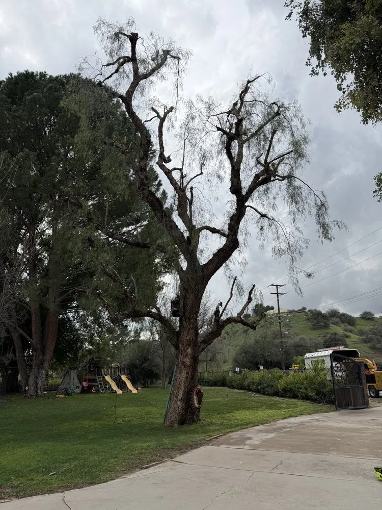 Reliable landscape installation for beautiful yards across Santa Paula, CA - Ag Landscape