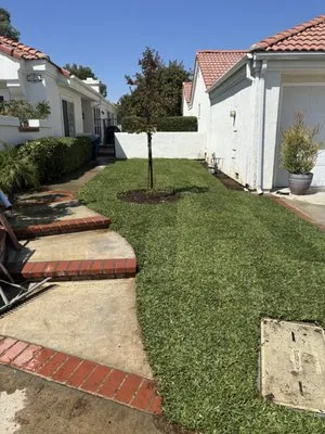 AG Landscaping and Gardening Services Logo