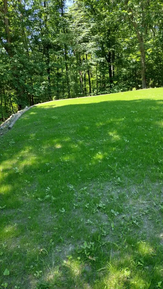 Top-rated landscaping services for year-round maintenance in Revere, MA by AG Landscaping and Patios