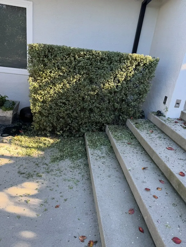 Trusted lawn care service in Culver City, CA by AG Landscaping