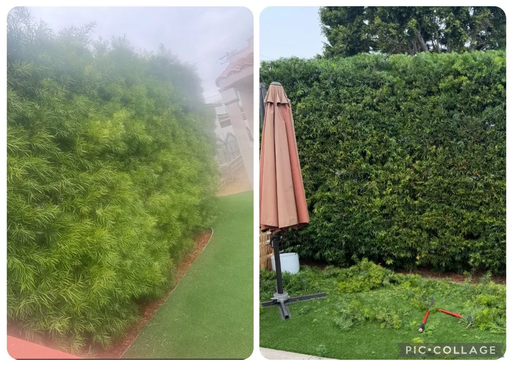 Affordable landscape installation for beautiful yards across Culver City, CA - AG Landscaping