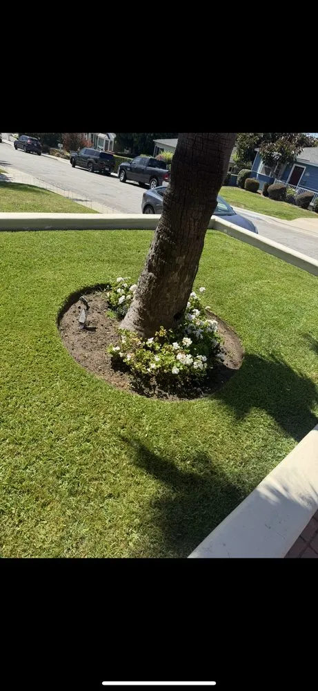 Trusted residential landscaping in Culver City, CA by AG Landscaping