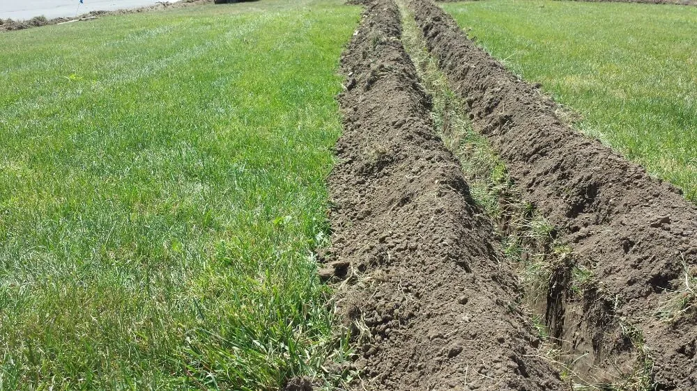 Reliable lawn care service experts serving El Cerrito, CA - AG Landscaping