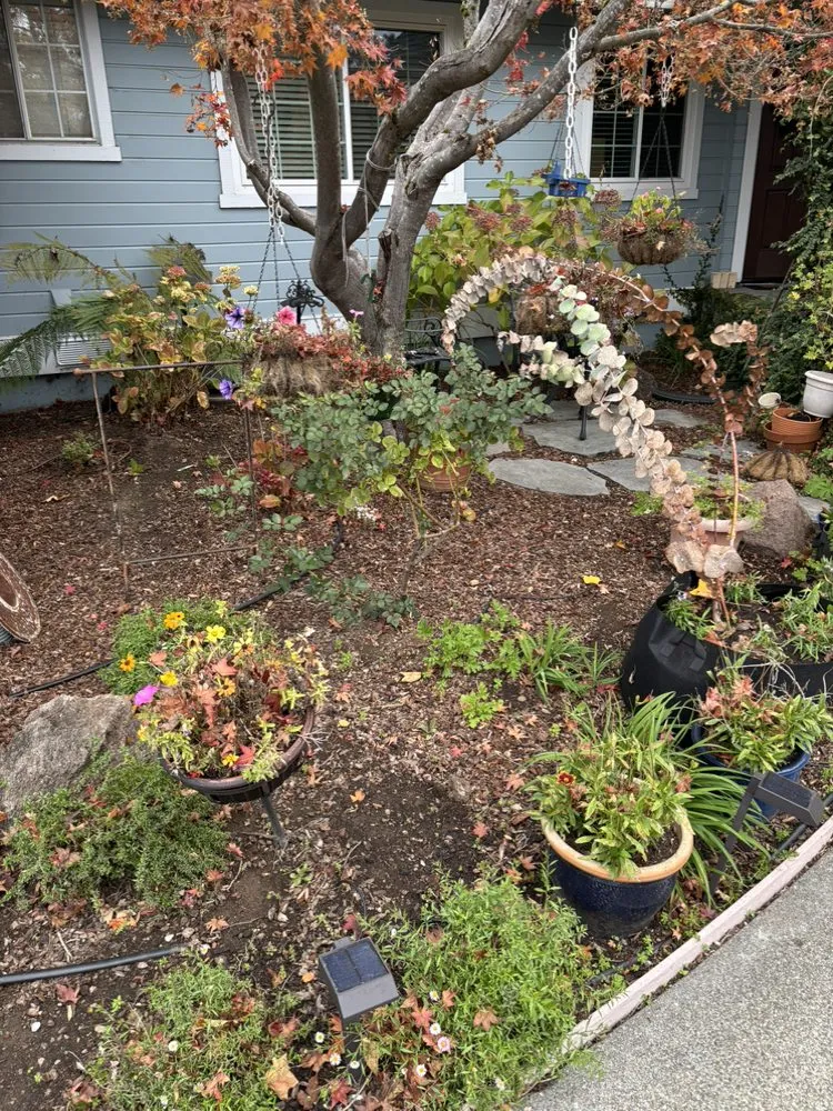 Custom lawn care service experts serving Glen Ellen, CA - A&G Landscaping