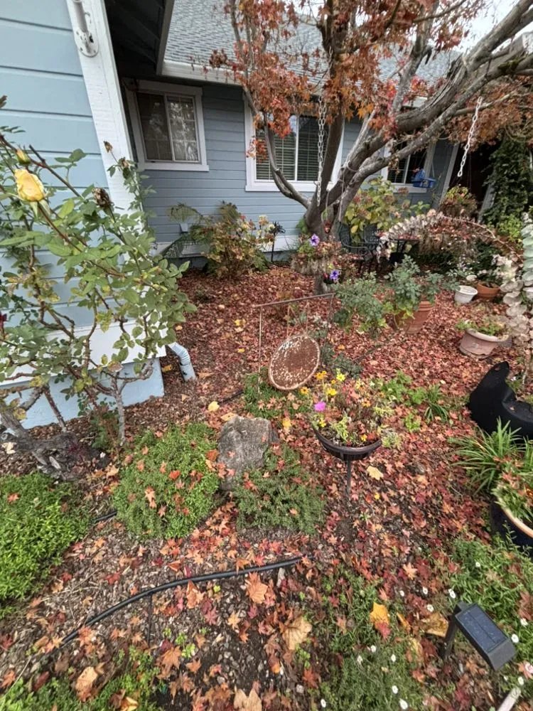 Trusted landscape installation for residential properties in Glen Ellen, CA by A&G Landscaping