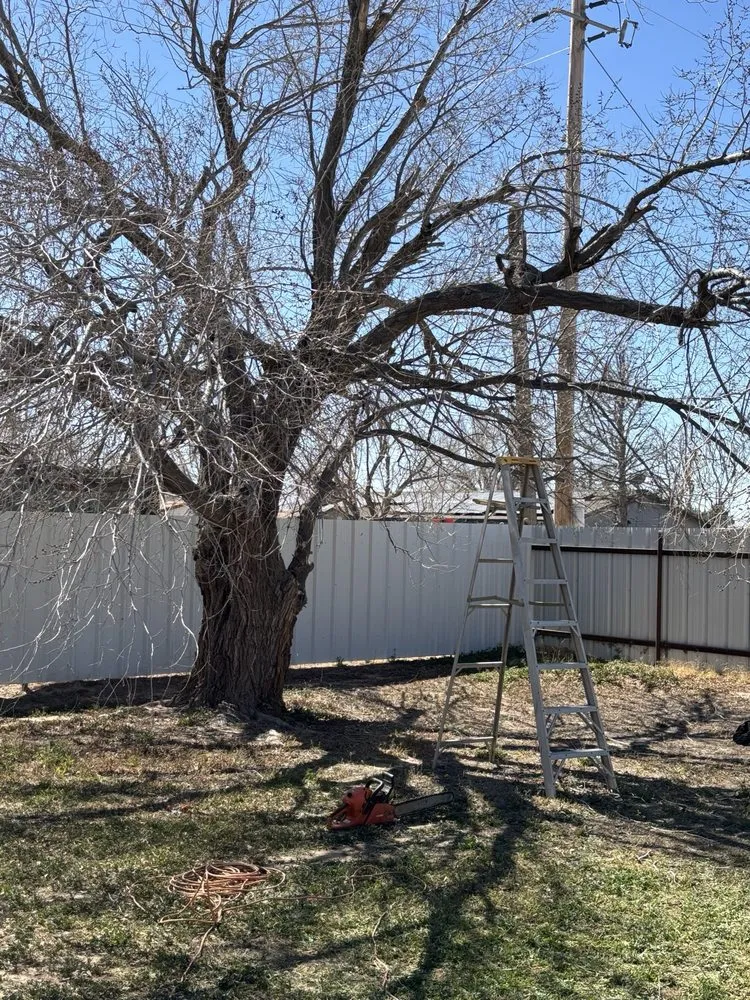 Top-rated yard cleanup service near you in Odessa, TX by AG Landscaping