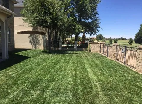 Top-rated landscaping services for homes across Odessa, TX - AG Landscaping