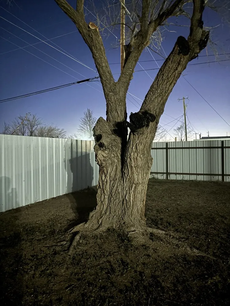 Trusted landscaping services in Odessa, TX - AG Landscaping