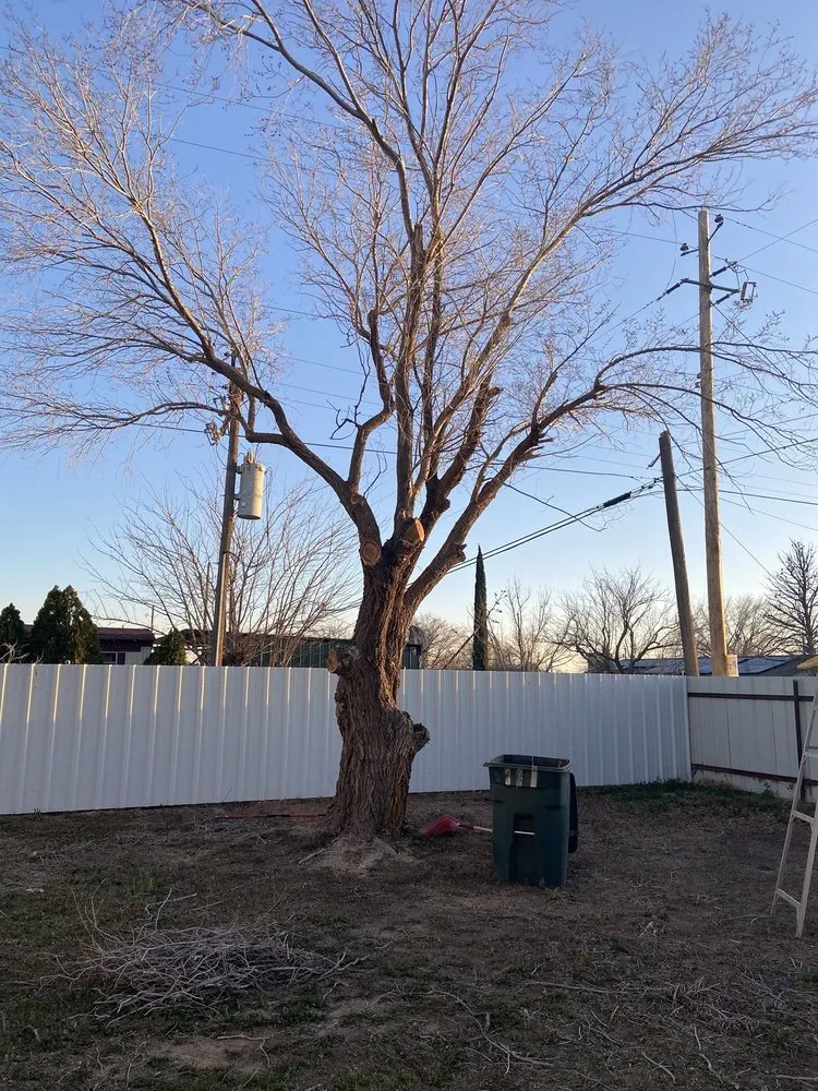 Local lawn care service experts serving Odessa, TX - AG Landscaping