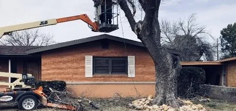 Affordable garden landscaping for residential properties across Odessa, TX - AG Landscaping