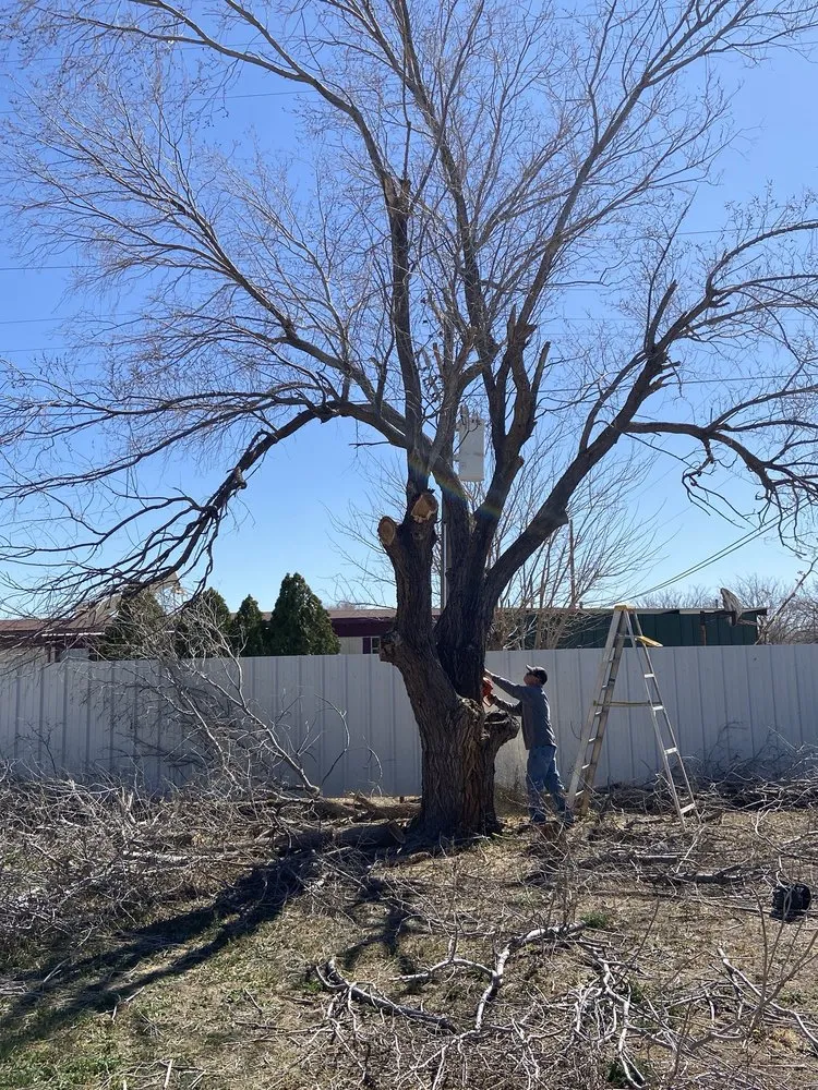 Local yard cleanup service for beautiful yards across Odessa, TX - AG Landscaping