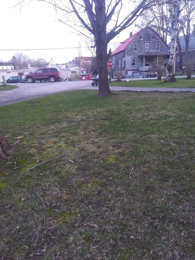 Top-rated lawn care service experts serving Williamstown, VT - A&G Landworks