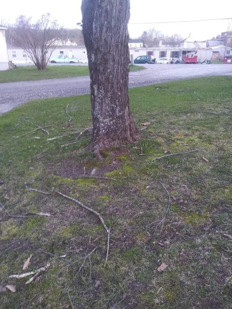 Reliable lawn care service experts serving Williamstown, VT - A&G Landworks