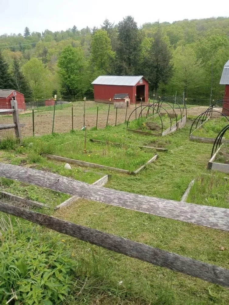Top-rated residential landscaping for beautiful yards in Williamstown, VT by A&G Landworks
