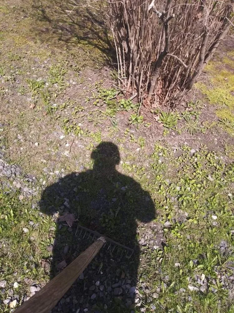 Top-rated landscape installation in Williamstown, VT by A&G Landworks