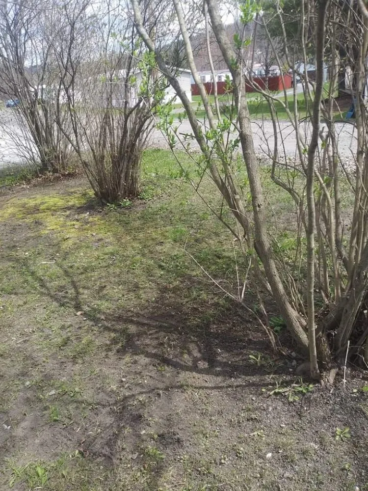 Affordable landscape design experts serving Williamstown, VT - A&G Landworks