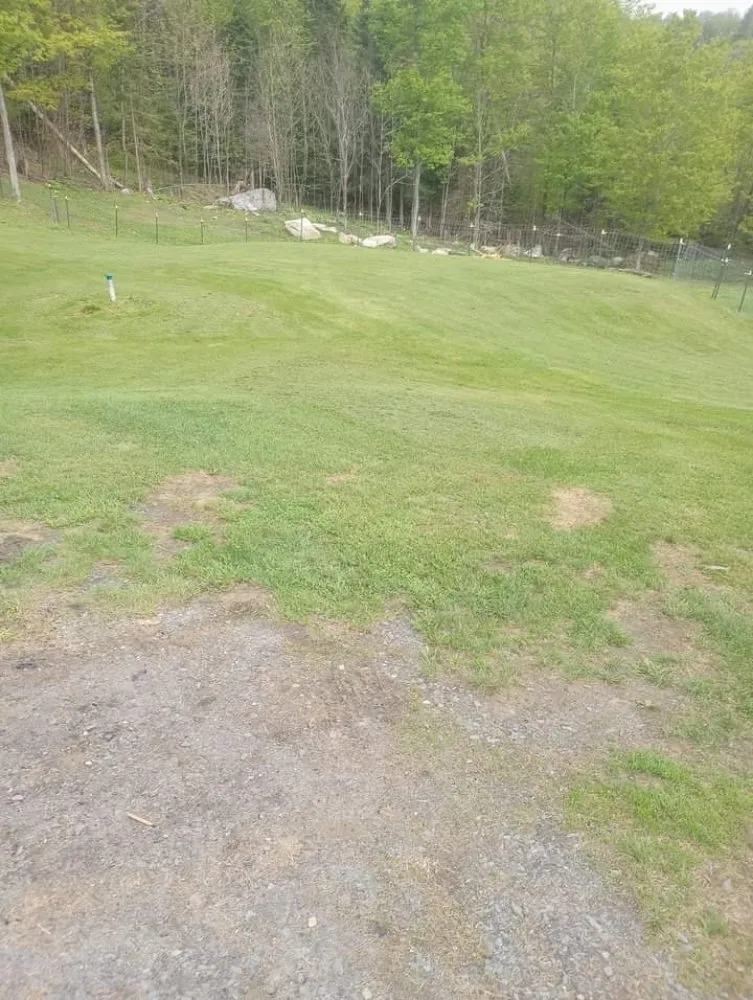 Affordable lawn mowing service for beautiful yards across Williamstown, VT - A&G Landworks