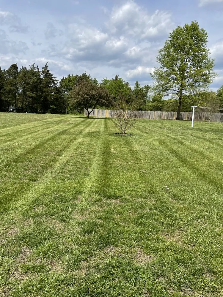 Local lawn care service experts serving Bealeton, VA - AG Lawn & Landscape