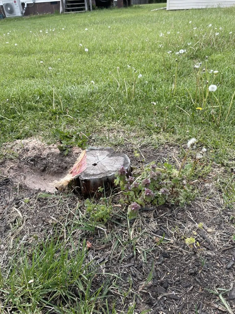 Expert landscape design in Bealeton, VA by AG Lawn & Landscape