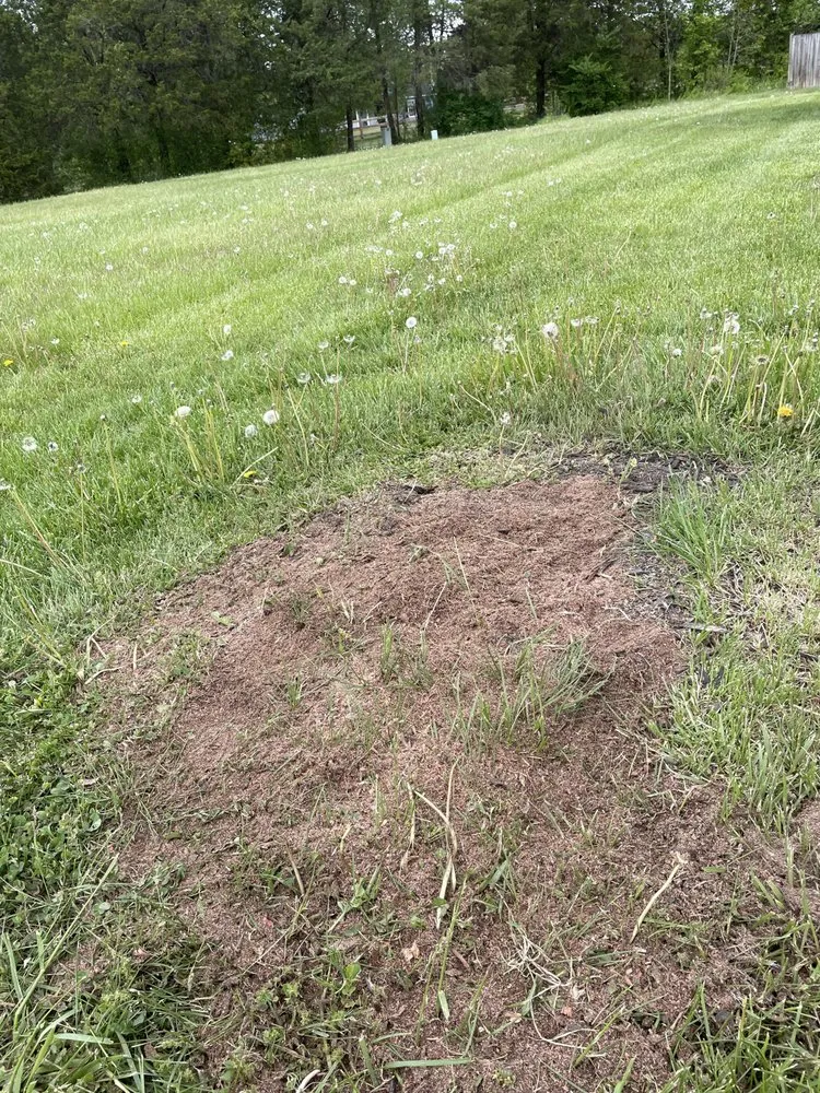 Local landscaping services near you in Bealeton, VA by AG Lawn & Landscape