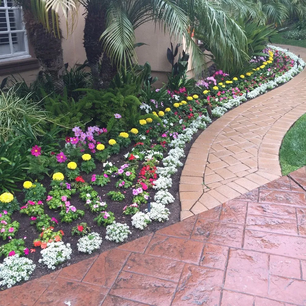 Trusted yard cleanup service near you across Grover Beach, CA - AG Lawn Care Service