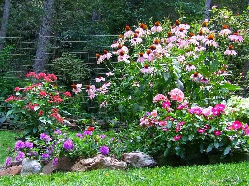 Top-rated residential landscaping experts serving Grover Beach, CA - AG Lawn Care Service