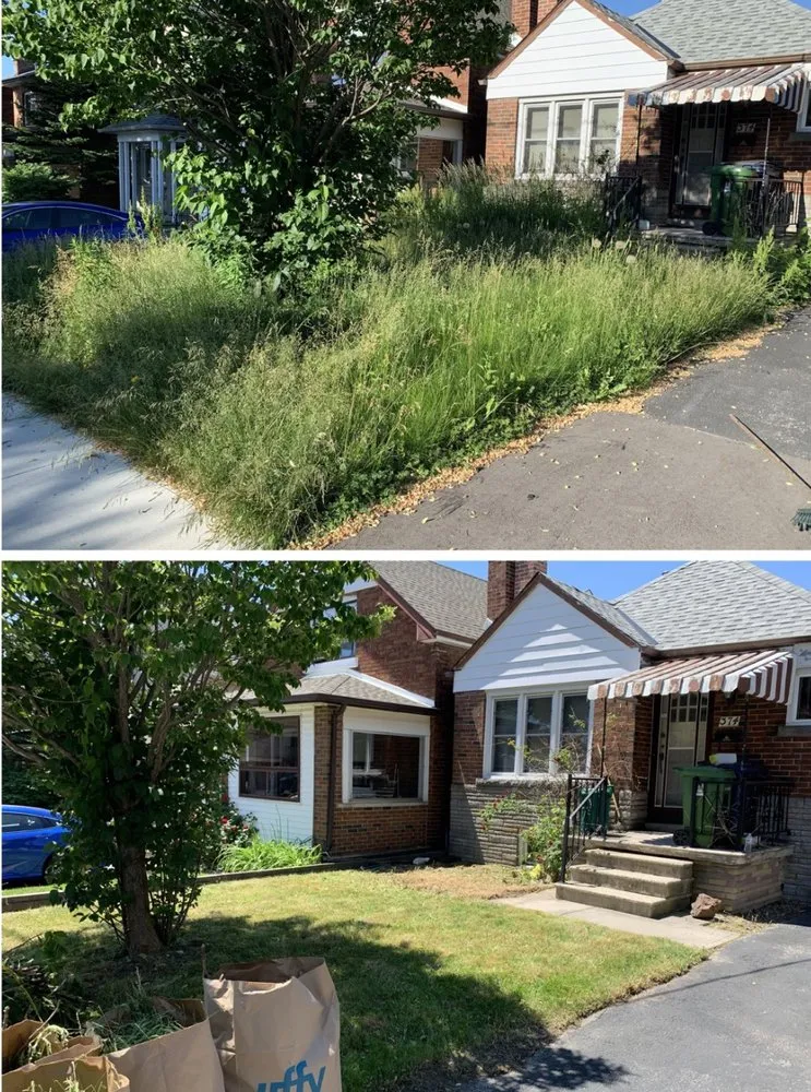 Expert yard cleanup service experts serving Kansas City, KS - AG Lawn Clare