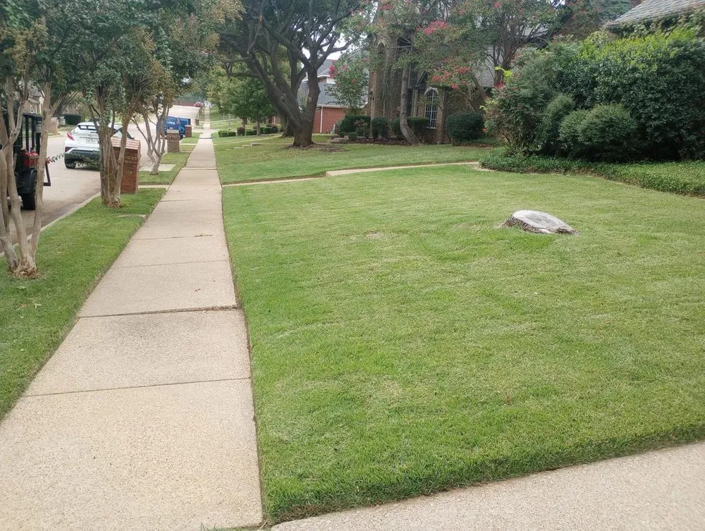 Professional landscaping services for beautiful yards across Lewisville, TX - A'G Lawn Services And Landscape