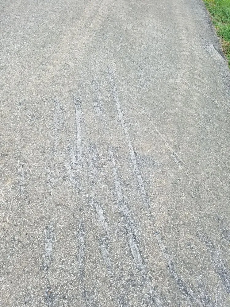 Local outdoor landscaping near you in Springfield, TN by A&G LawnCare