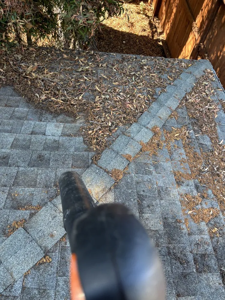 Top-rated lawn mowing service experts serving Vallejo, CA - AG Maintenance