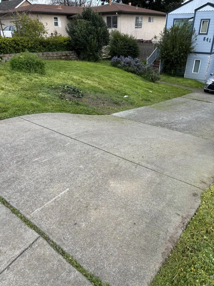 Custom yard cleanup service in Vallejo, CA by AG Maintenance