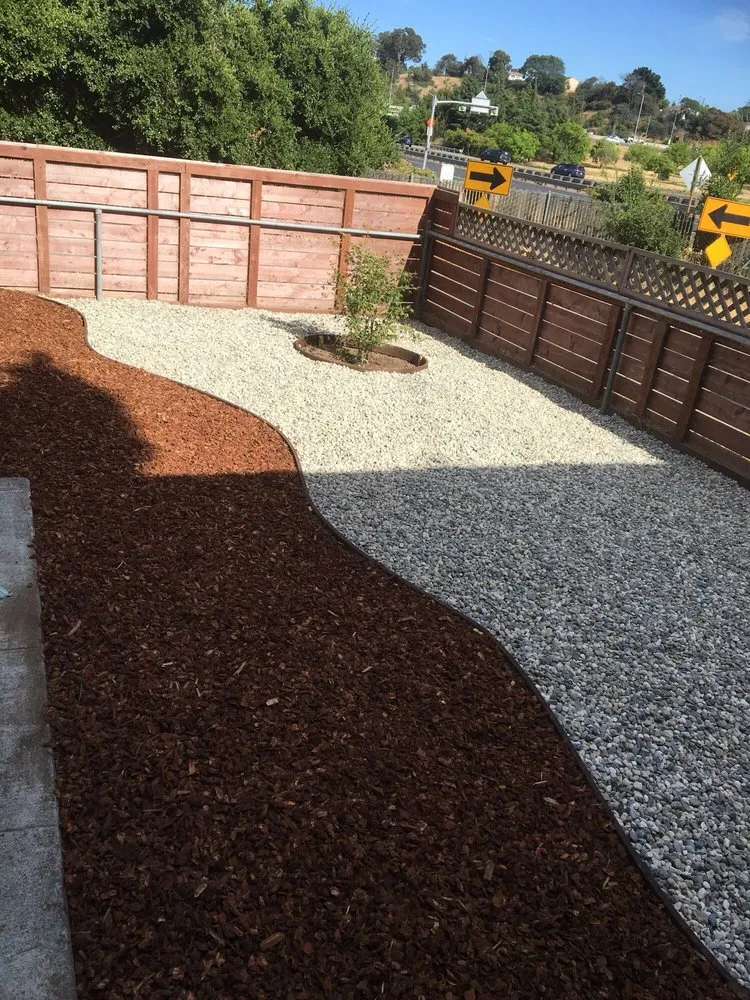 Trusted yard cleanup service in Vallejo, CA by AG Maintenance