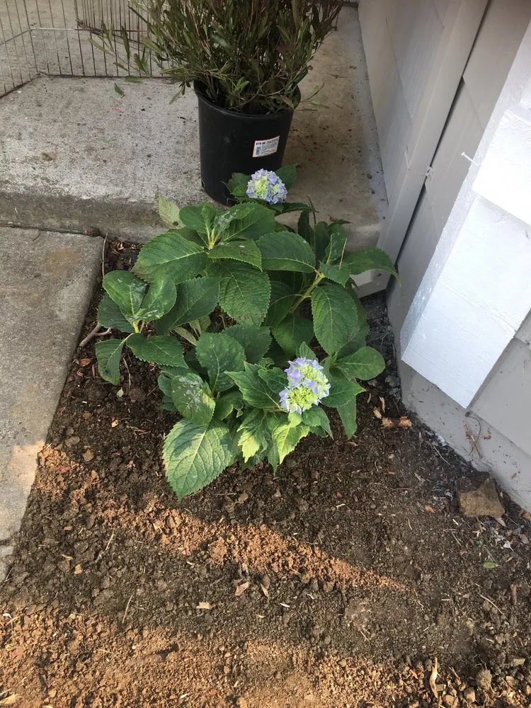 Top-rated outdoor landscaping in Vallejo, CA - AG Maintenance